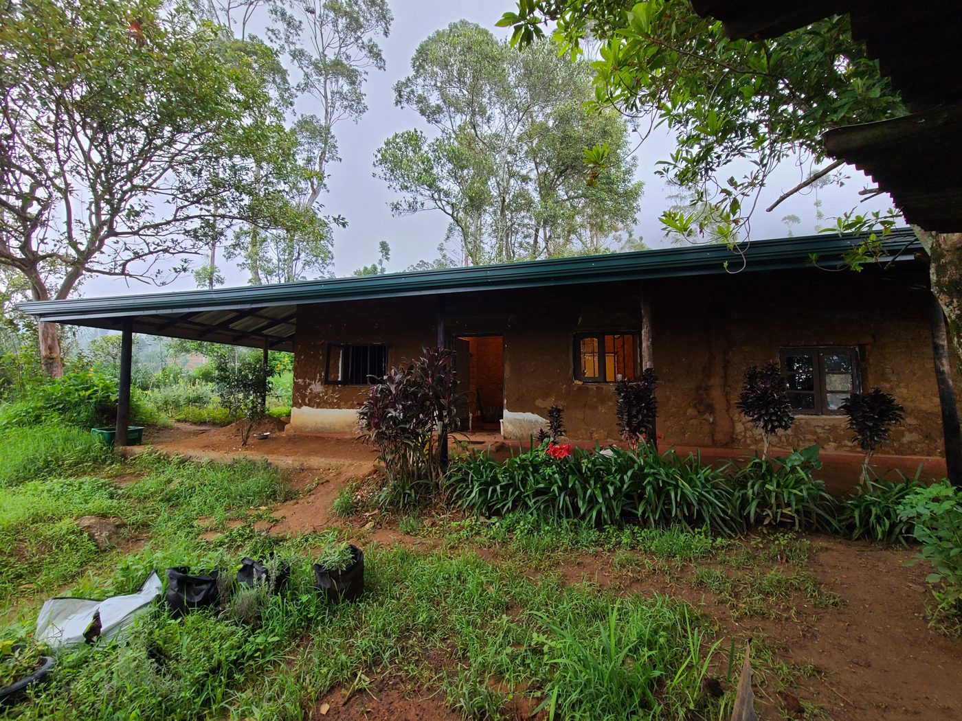 The finished adobe house with a green roof, surrounded by trees and plants