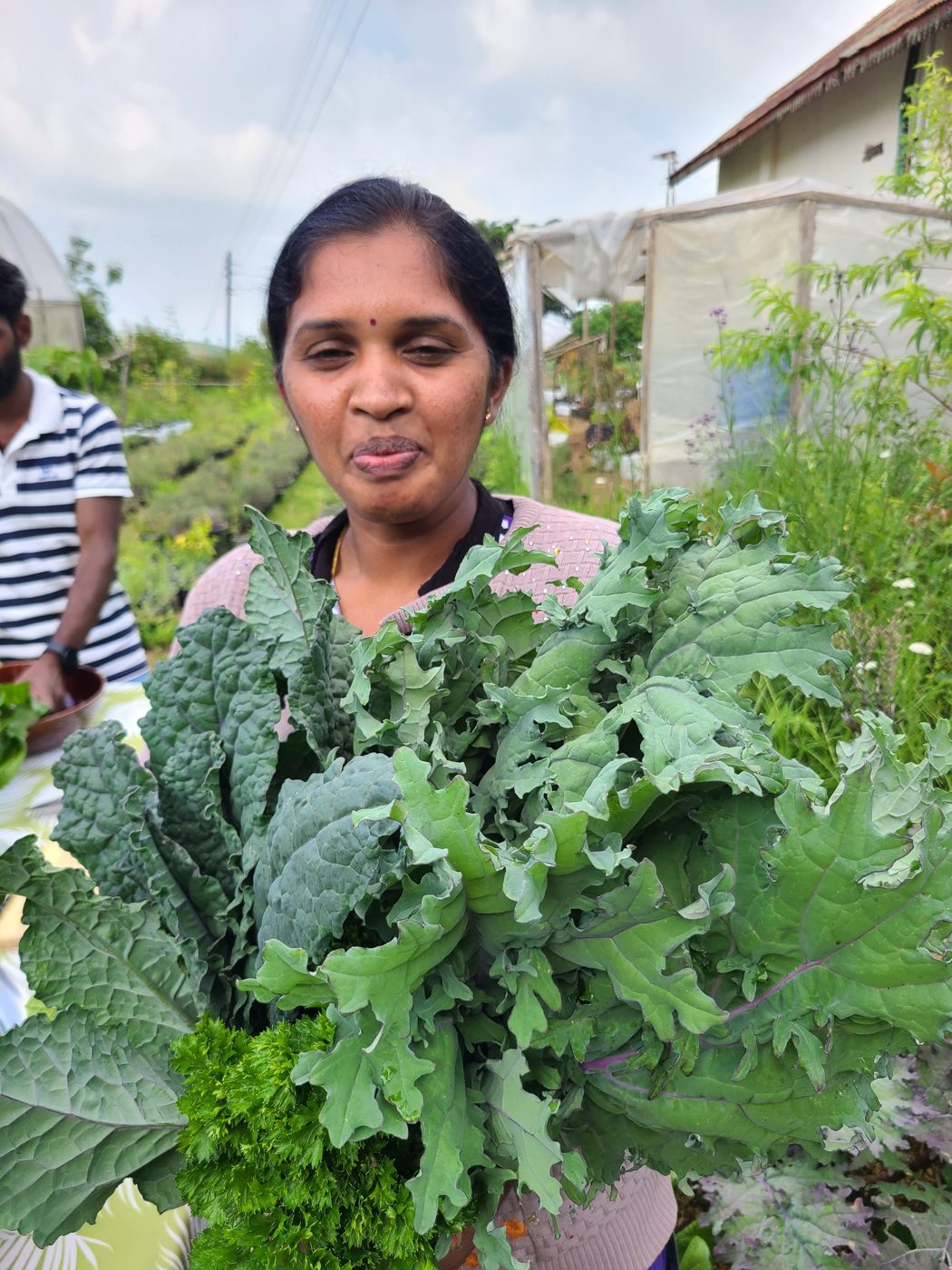 Vani, our senior roaster and baker, holding an armful of freshly picked kale and parsley