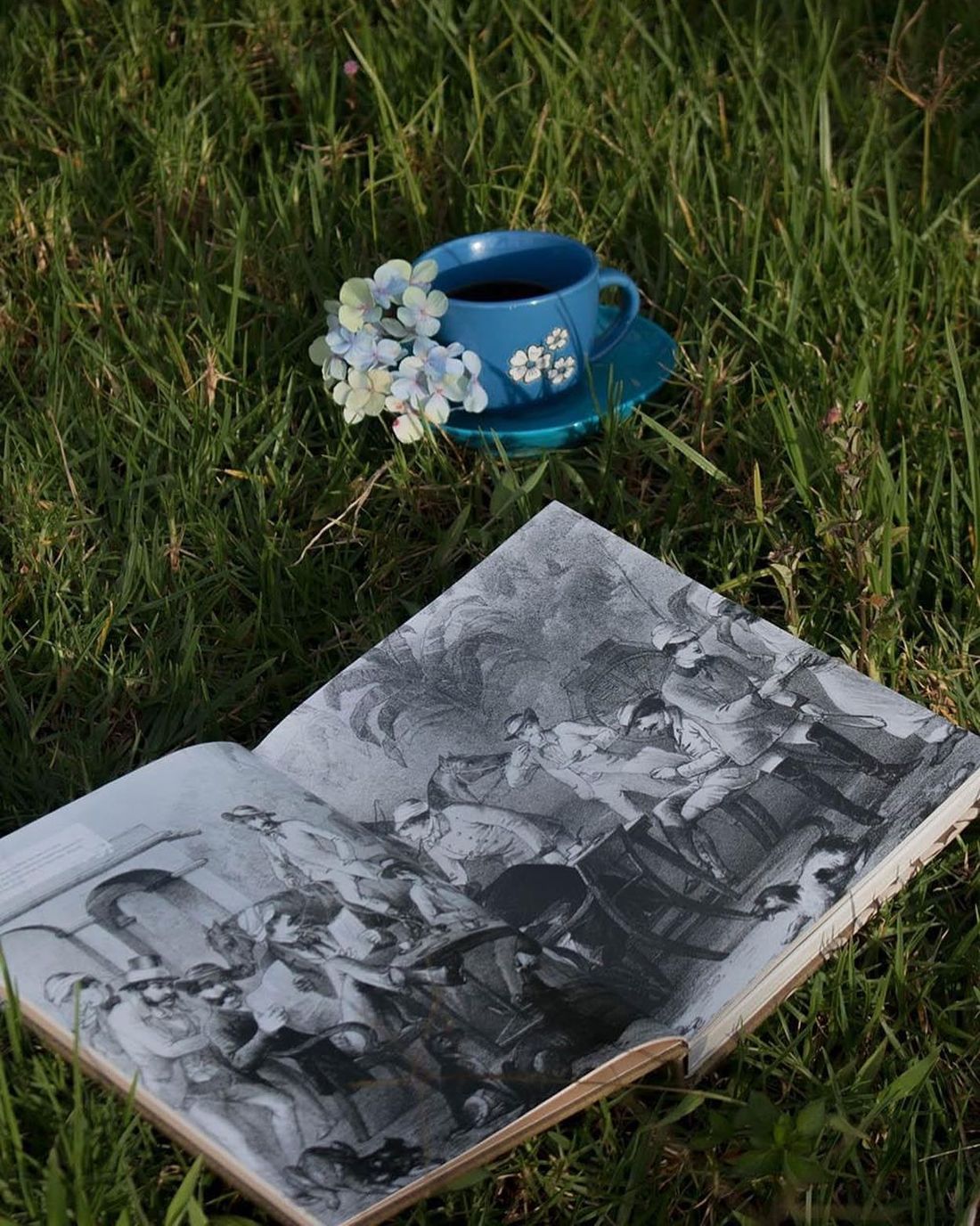 A cup of Hansa coffee on the grass beside a book of old Ceylon coffee-era engravings