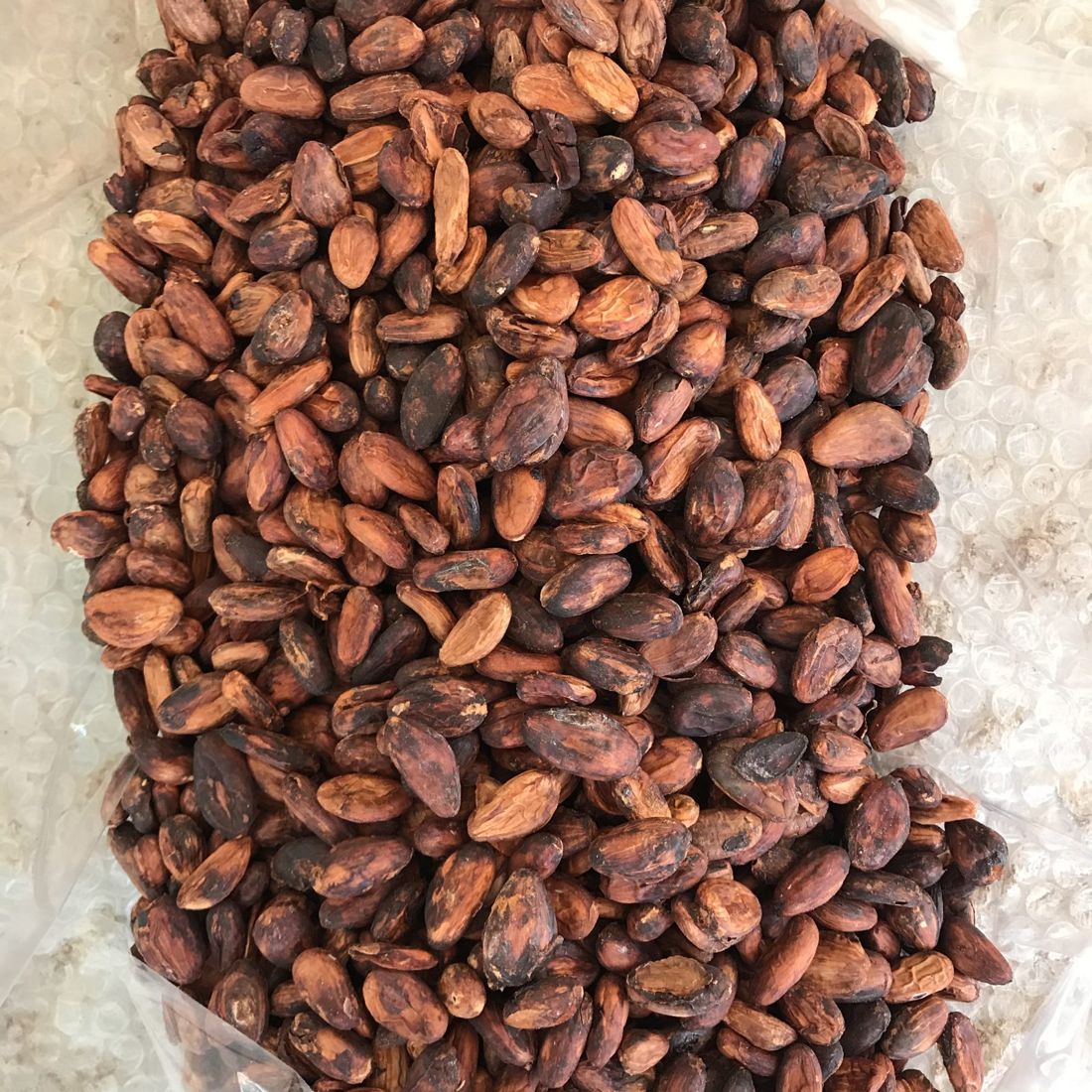 A pile of fermented and dried Sri Lankan cacao beans