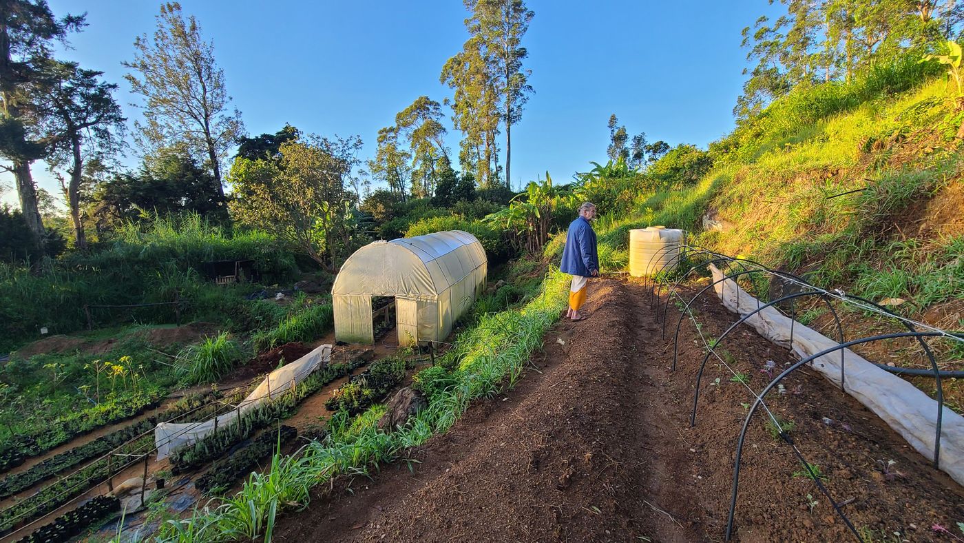 The farm's greenhouse and terraced growing beds on a hillside