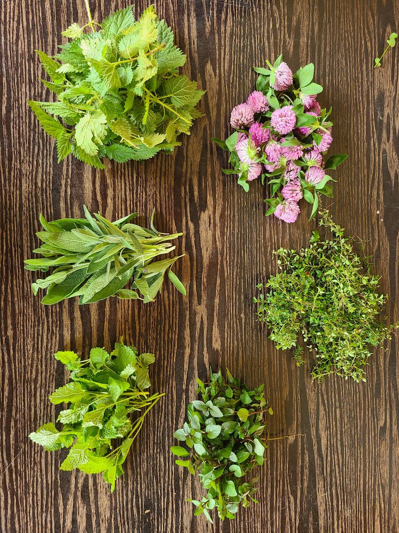 Bunches of fresh herbs and clover flowers laid out on a wooden table