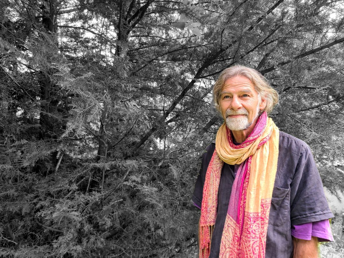 Lawrence in a bright scarf, out on a walk among the trees