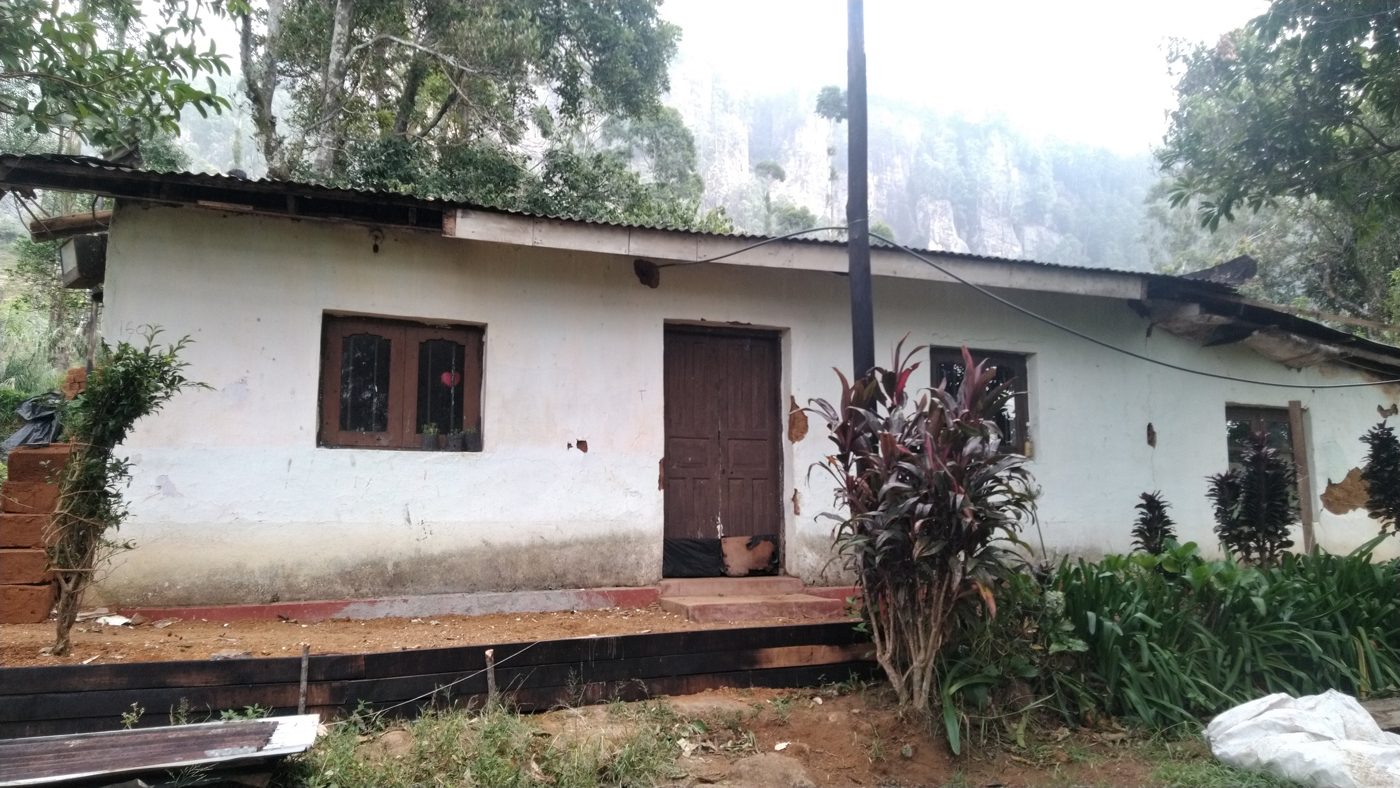 The old white-washed adobe house with a tin roof, before the rebuild